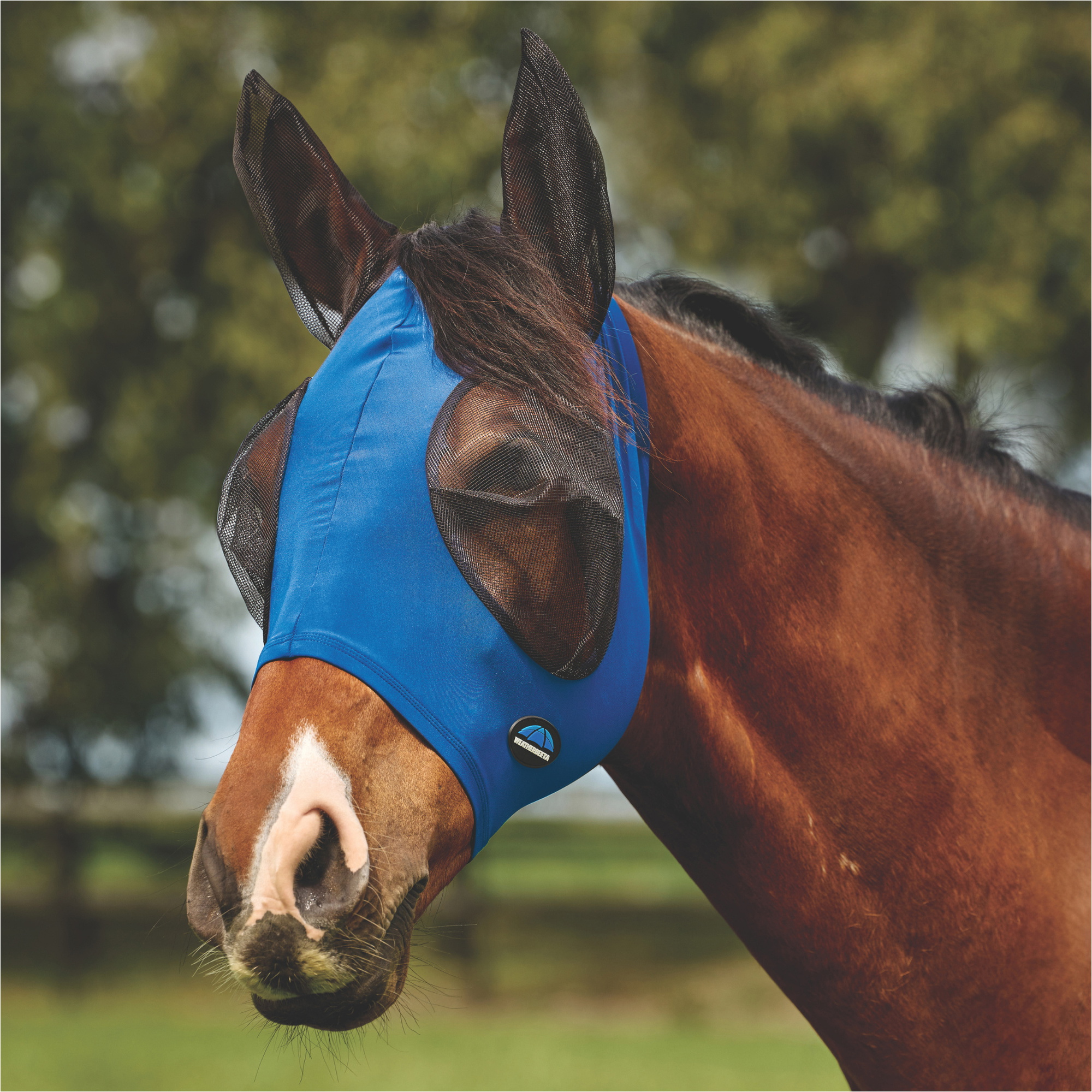 2026 WeatherBeeta Comfitec Deluxe Strecken Fliegen Maske Mit Ohren 1029984 - Kobalt / Black